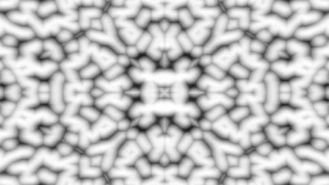 Abstract Digital Pattern Seamless Loop with Kaleidoscopic Symmetry in Monoc.. Stock Footage 341652269