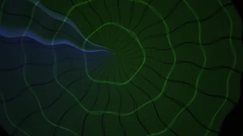 Abstract Digital Radar Scanning Animation with Glowing Circular Grid Lines. Stock Footage 340510971