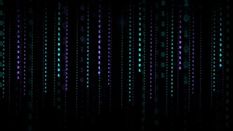 Abstract digital rain of binary code falling on a black background with neon Stock Footage 339324067