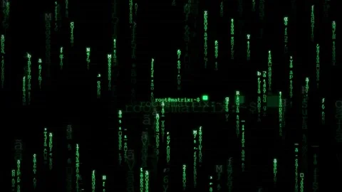 Abstract digital rain of green binary code and characters falling on black Stock-Footage 343163115