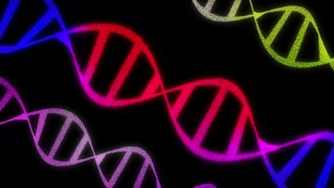 Abstract digital rotating dna molecular structure formation. Stock Footage 264489233
