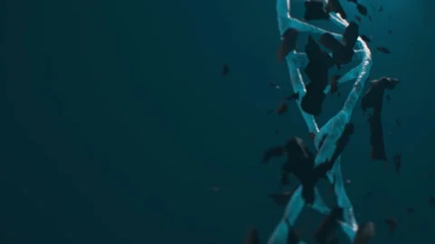 Abstract digital rotating dna molecule.. Stock Footage 157513317