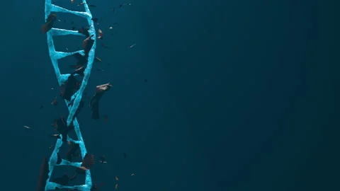 Abstract digital rotating dna molecule, peel dna infection. Stock Footage 157513417