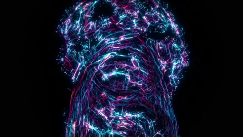 Abstract digital tunnel funnel artificial intelligence neural network Stock Footage 113348219