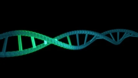 Abstract digits DNA scanning molecule For biology, biotechnology, chemistry, Stock Footage 119006091