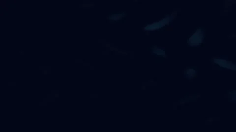 Abstract Distortion Loop Background Landscape Stock Footage 331095635