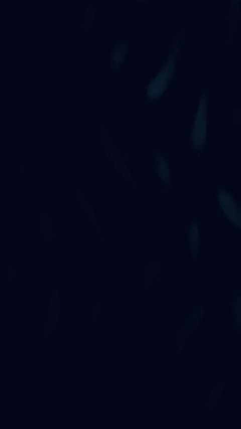 Abstract Distortion Loop Background Vertical Stock Footage 331095627