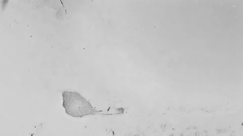 Abstract Distressed Grunge Texture Overlay Stock Footage 293707566