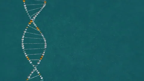 Abstract DNA 3D animation on blue background. Hologram blue glowing rotating DNA Stock Footage 165933951