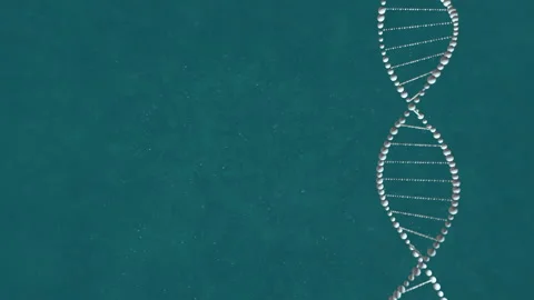 Abstract DNA 3D animation on blue background. Hologram blue glowing rotating DNA Stock Footage 165938791