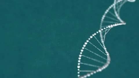 Abstract DNA 3D animation on blue background. Hologram blue glowing rotating DNA Stock Footage 165939588