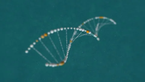 Abstract DNA 3D animation on blue background. Hologram blue glowing rotating DNA Stock Footage 165940335