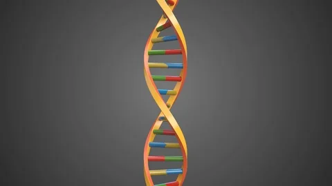Abstract DNA Double Helix rotating loop with Alpha Channel Stock Footage 106905027