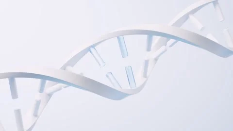 Abstract DNA double helix structure rotating in seamless loop on white back.. Vidéo 327112521
