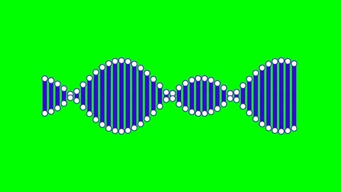 Abstract dna double helix structure rendered with blue bars and white dots Stock Footage 340903679