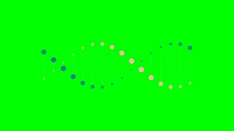 Abstract dna double helix structure rendered with dots on a green screen Stock Footage 340904386