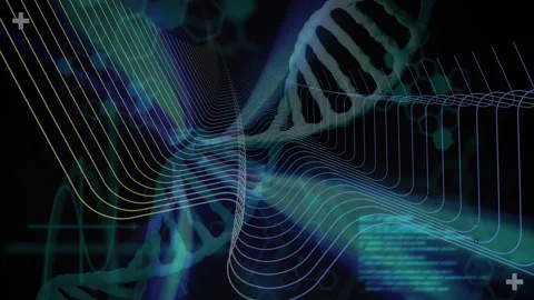 Abstract DNA helix being animated over neon gridlines, glowing code and medical Stock Footage 309287965