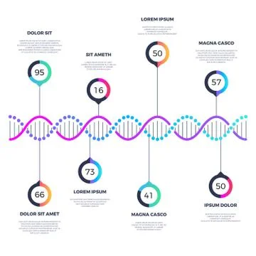 Abstract dna molecule vector business infographic with options Stock Illustration