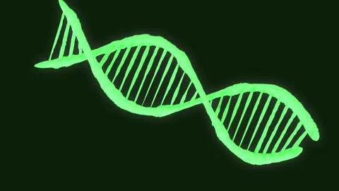 Abstract DNA structure animation. Medical science background. Stock Footage 246358075