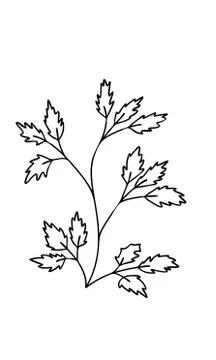 Abstract doodle single floral element for decoration patterns, wrapping paper Stock Illustration