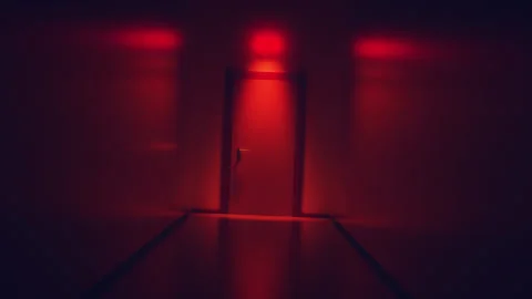 Abstract Door Loop Stock Footage 312436184