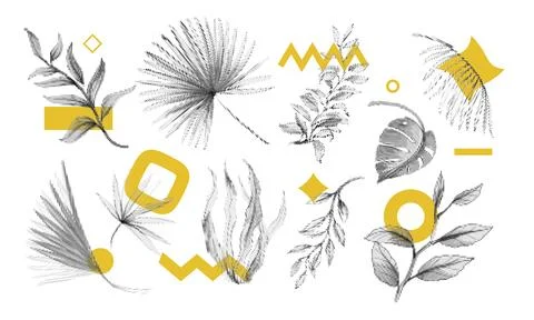 Abstract dot leaf, palm flowers. Graphic plant leaves, tropical decor eleme.. Stock Illustration