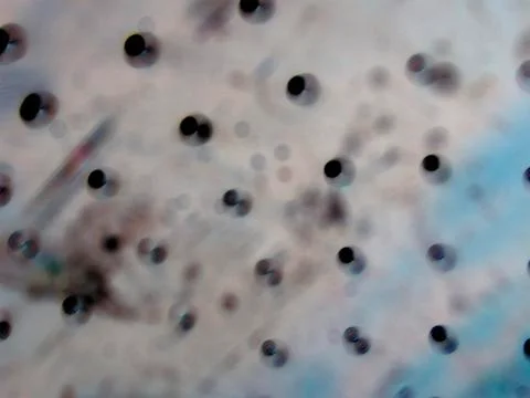 Abstract dot pattern Illustrazione stock