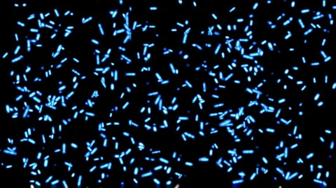 Abstract dots micro bacteria spore worms background,nematode insect backdrop. 库存影片 1013044