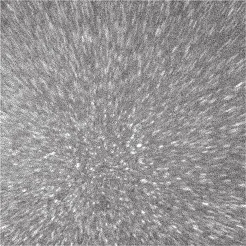 Abstract dotted background. Grunge texture. Explosion effect Stock Illustration