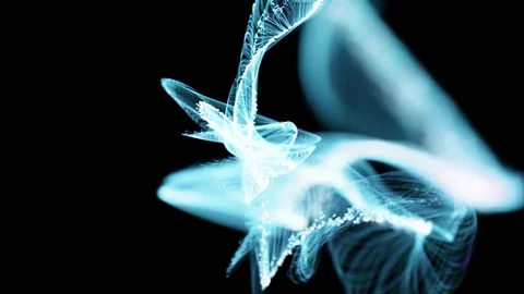 The abstract dotted grid. Loop animation. Slow motion Stock Footage 126002228