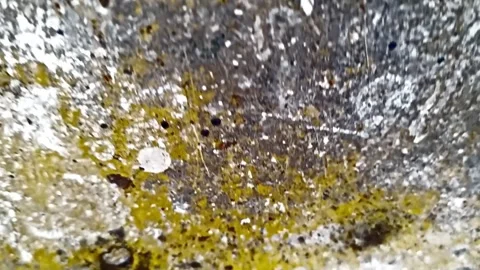 Abstract downward moving texture video Vídeo Stock 335289408