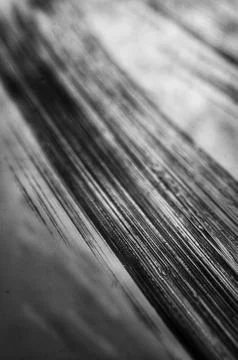 Abstract of dramatic black and white background, fine art abstract background Stock Photos