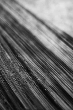 Abstract of dramatic black and white background, fine art abstract background Stock Photos