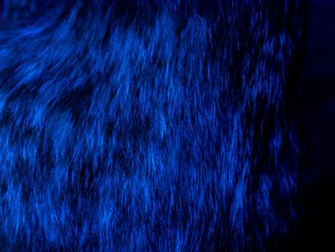 Abstract dramatic blue fur or hair texture background with flowing strands .. Stock Photos