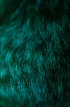 Abstract dramatic blue fur or hair texture background with flowing strands .. Stock Photos