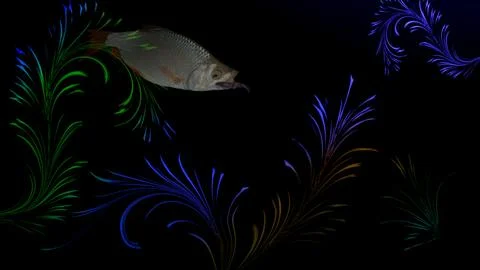 Abstract drawing on a marine theme. The roach swims between the algae. Illustrazione stock