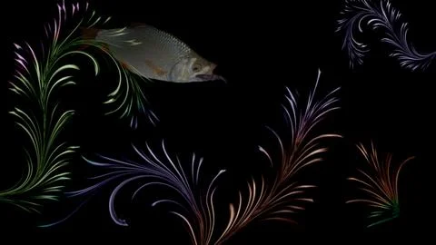 Abstract drawing on a marine theme. The roach swims between the algae. Stock Photos