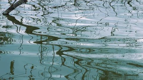 Abstract drawing of tree branch shadows on water Stock Photos
