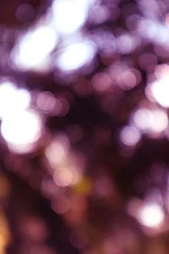 Abstract dreamy bokeh effect background with blurred purple tones Stock Photos