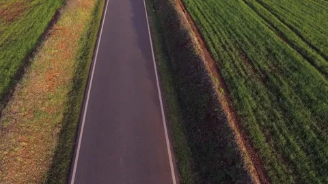 Abstract Drone Forward Shot of Asphalt Road Through Green Countryside 库存影片 316917141