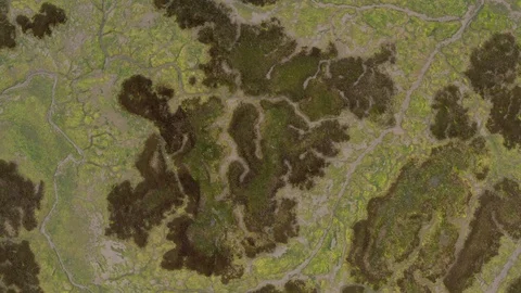 Abstract drone view of a low tide rivermouth in Spain (1) Stock Footage 112242865