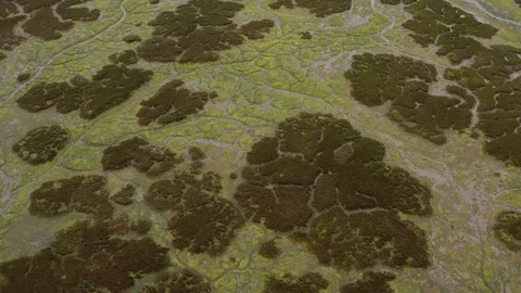 Abstract drone view of a low tide rivermouth in Spain (3) Stock Footage 112244671