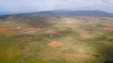 Abstract drone view over patches of lush green farm land pastures on Terceira 動画素材 300314085