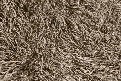 Abstract dry stipes Stock Photos