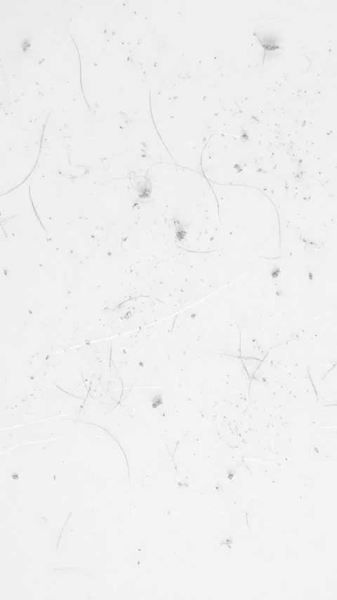 Abstract dust and scratches texture particles on dark vintage background with do 库存影片 334711859