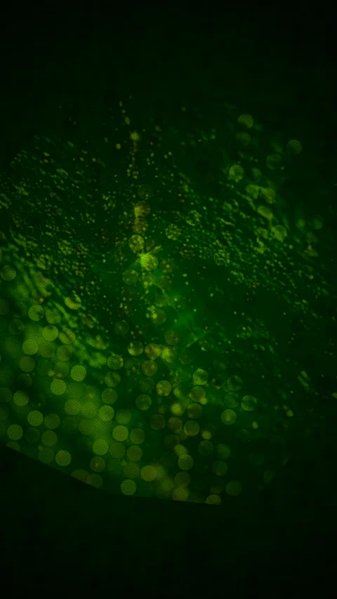 Abstract Dynamic Geometric Motion Stockbeeldmateriaal 341536743