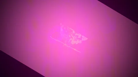 Abstract Dynamic Geometric Motion Vidéo 341538969