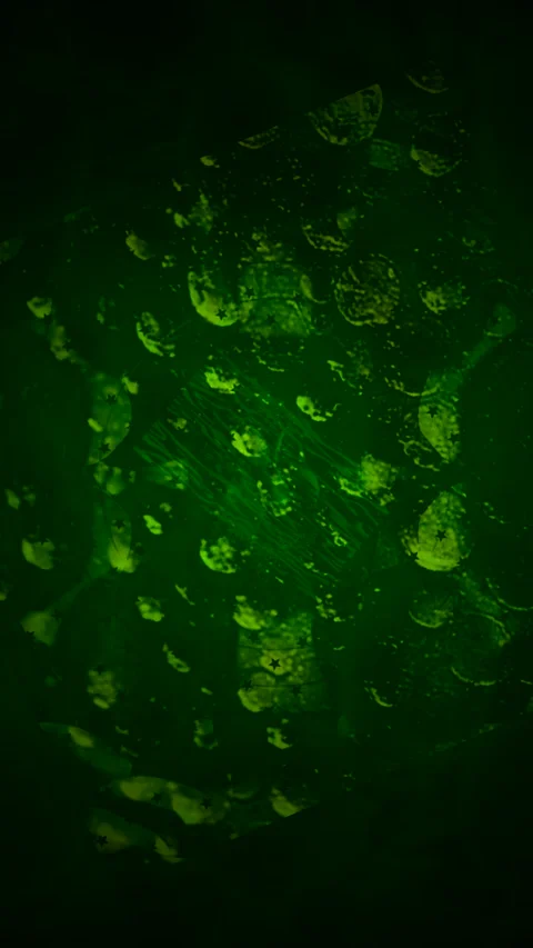 Abstract Dynamic Geometric Motion 库存影片 341546353