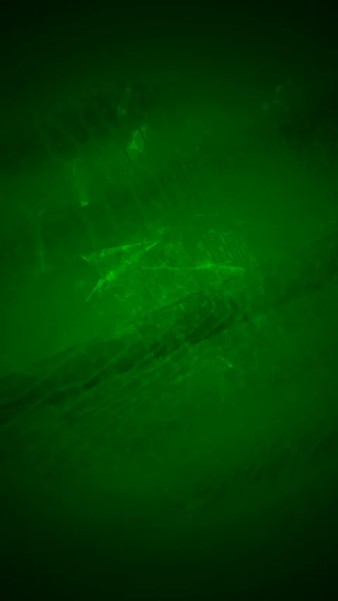Abstract Dynamic Geometric Motion Видео 341556918