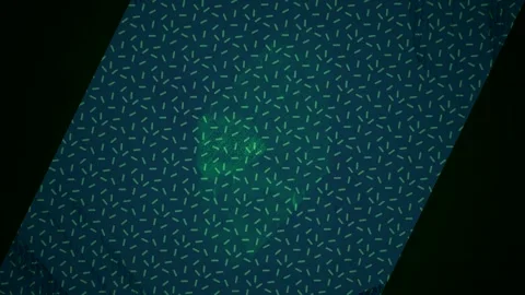 Abstract Dynamic Geometric Motion Vidéo 341638539